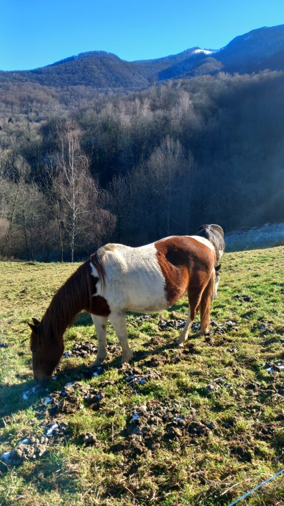 Randonnée guidée dans les sentiers pyrénéens