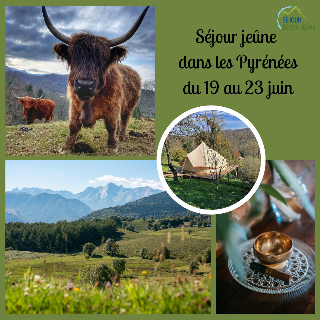 Séjour jeûne dans les Pyrénées avec un programme complet. Tout sur le site sejourdetoxjeune.fr