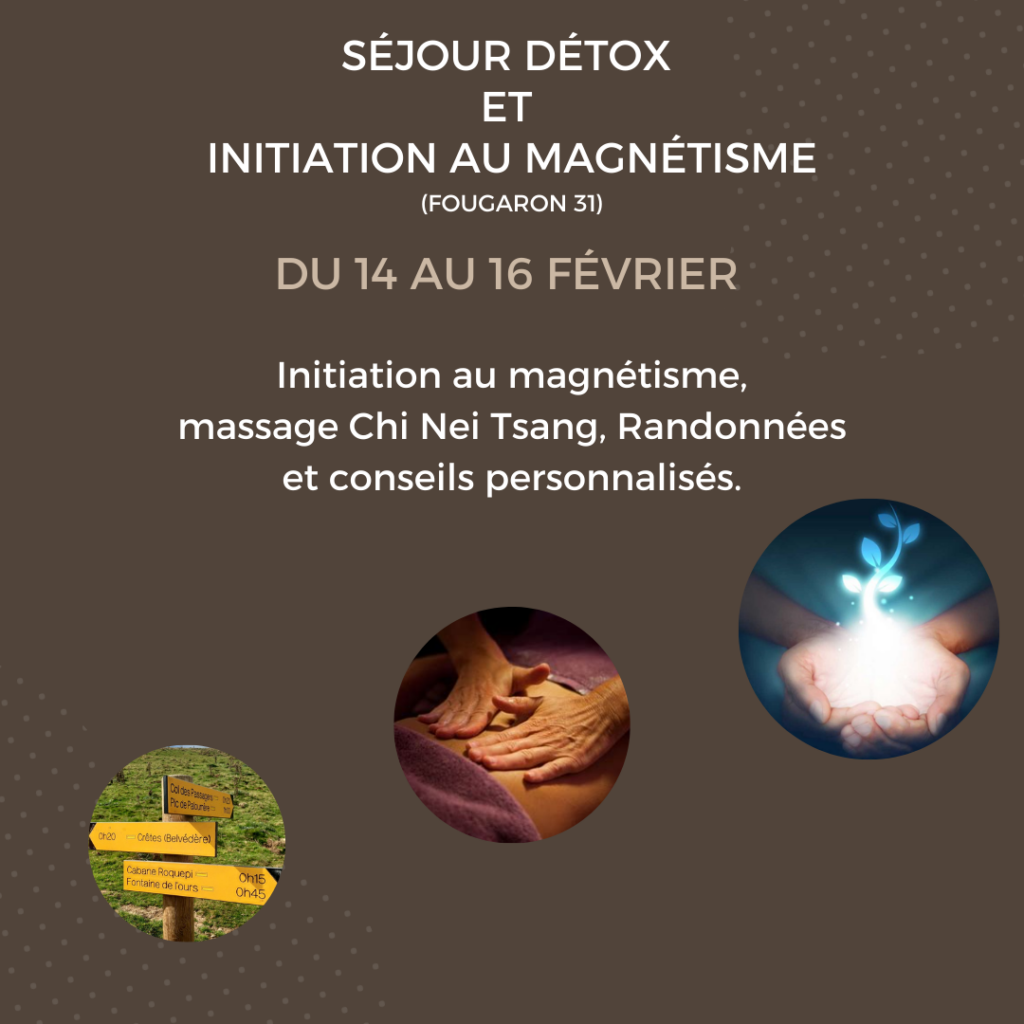 Séjour détox et initiation au magnétisme - Du 14 au 16 février, dans le Pyrénées (Fougaron 31)