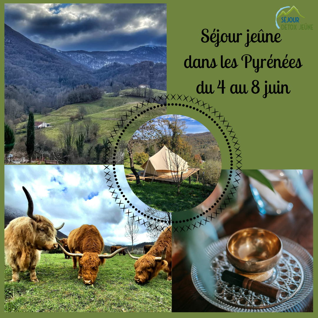 séjour jeûne dans les Pyrénées avec un programme complet pour se ressourcer.