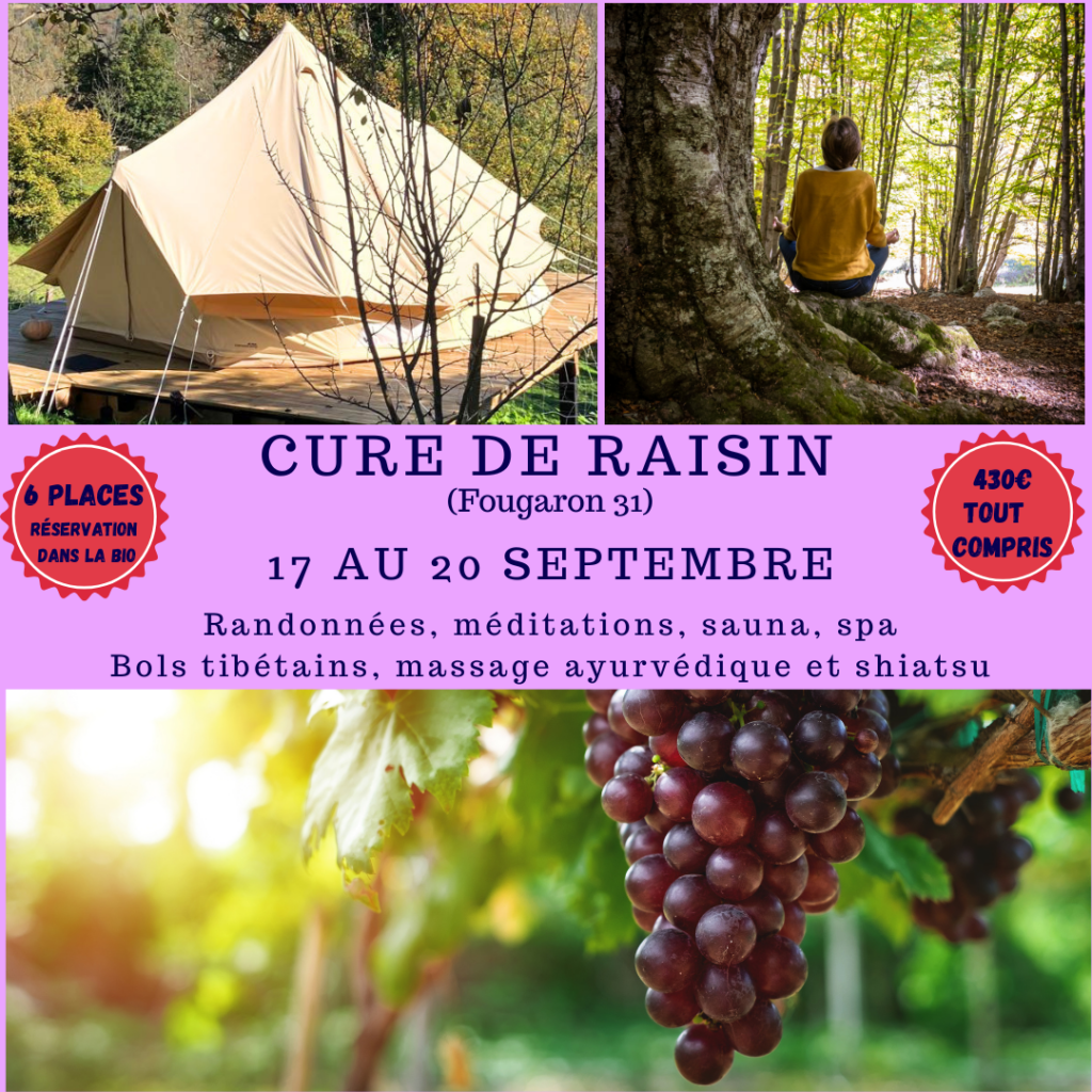 cure de raisin à Fougaron associée à un programme complet de soins